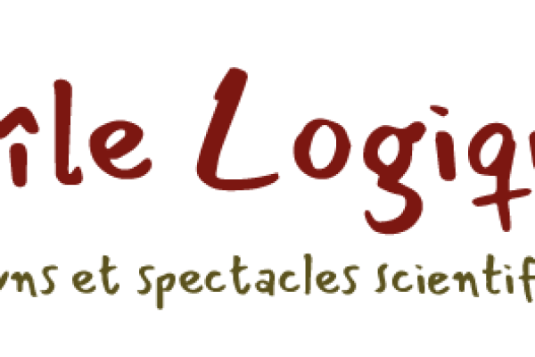 logo-ile-logique-petit